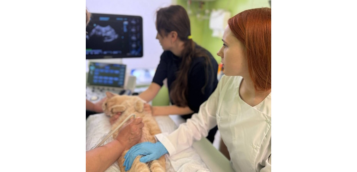 Студенты ветфакультета ВГАУ начинают осваивать профессию уже с первого курса!