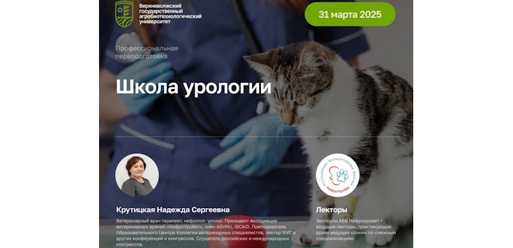 Курс «Школа урологии»