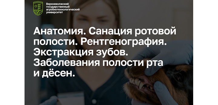 На базе университета стартовал первый модуль курса «Школа ветеринарной стоматологии»