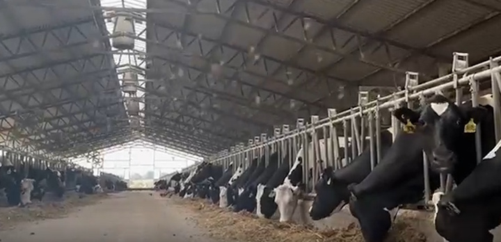 Рабочая встреча проектного офиса Верхневолжского ГАУ со специалистами СПК «Рассвет»!