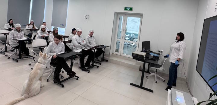 Исследование мочевыделительной системы у животных методом ультразвуковой диагностики