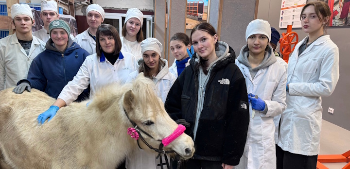 Занятие по клинической диагностике прошло в форме увлекательной игры!