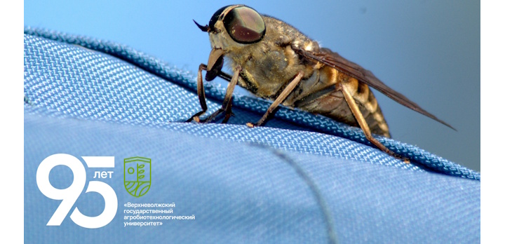 Летняя экологическая школа Центра «Солярис» в Федеральном заказнике «Клязьминский»!