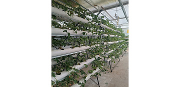 Студенты-агрономы осваивают современные агротехнологии на практике!